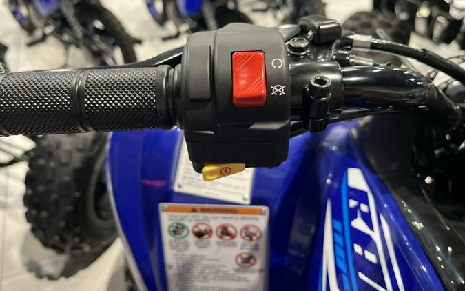 2026 Yamaha RAPTOR 110