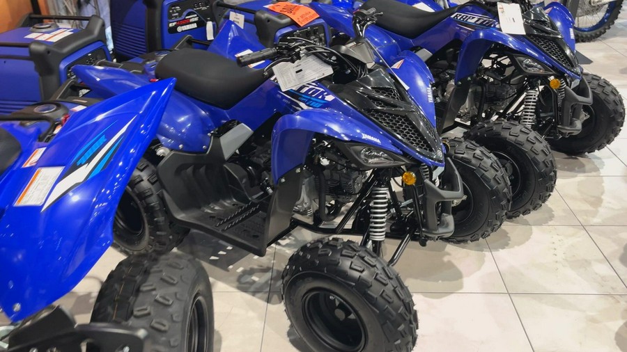 2026 Yamaha RAPTOR 110