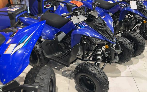 2026 Yamaha RAPTOR 110