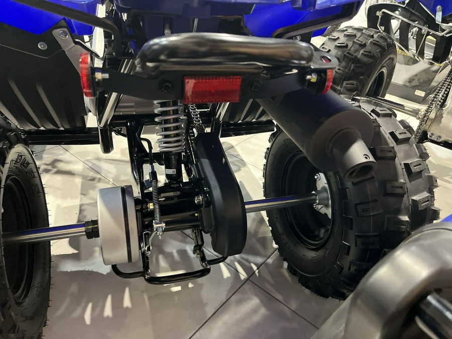 2026 Yamaha RAPTOR 110