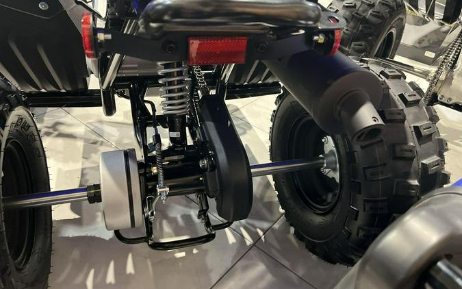 2026 Yamaha RAPTOR 110