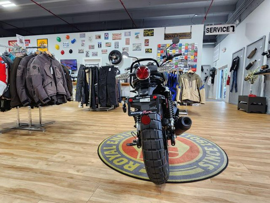 New 2025 Royal Enfield INT BEAR