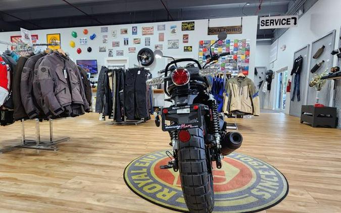 New 2025 Royal Enfield INT BEAR