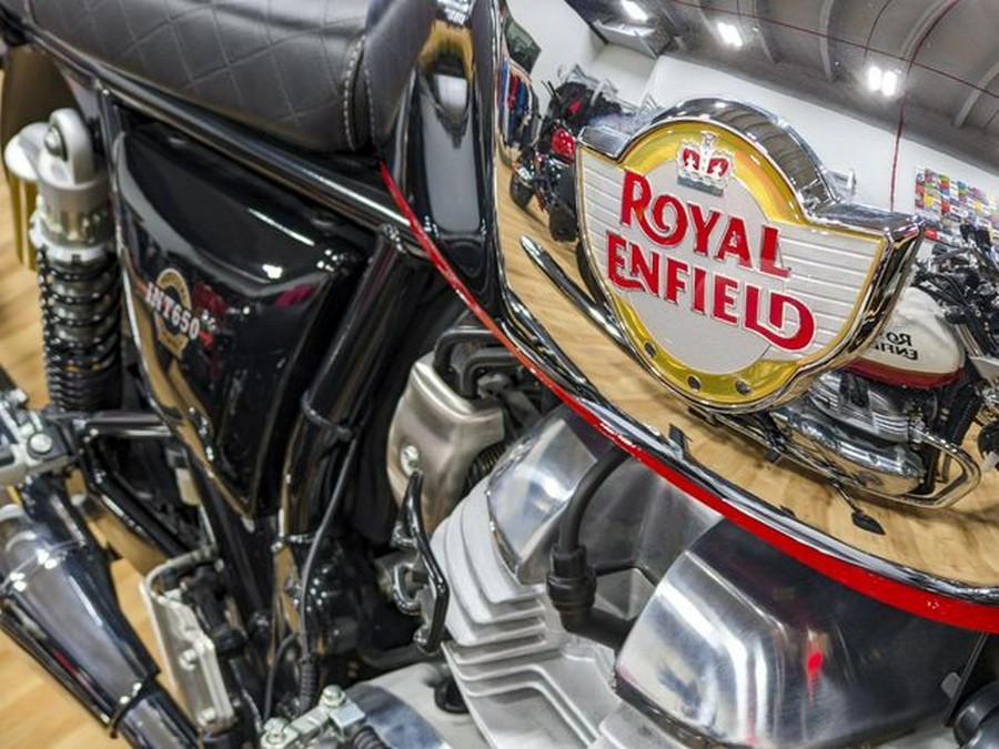New 2025 Royal Enfield INT BEAR