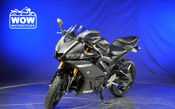 2019 Yamaha YZF-R3 R3 300