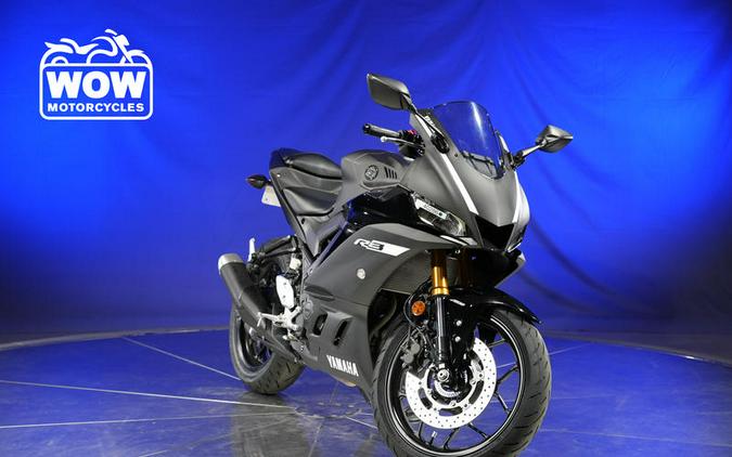 2019 Yamaha YZF-R3 R3 300