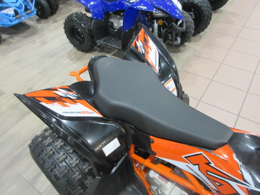 2026 KAYO PREDATOR 125