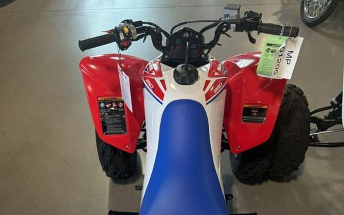 2026 Honda TRX® 250X
