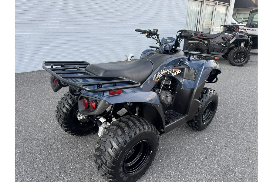2024 BRUTE FORCE 300 - Kawasaki