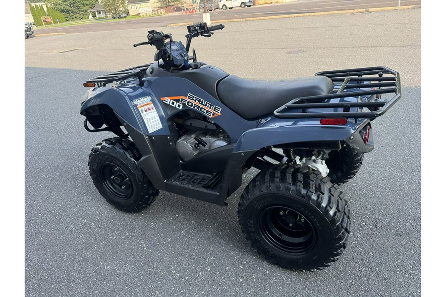 2024 BRUTE FORCE 300 - Kawasaki