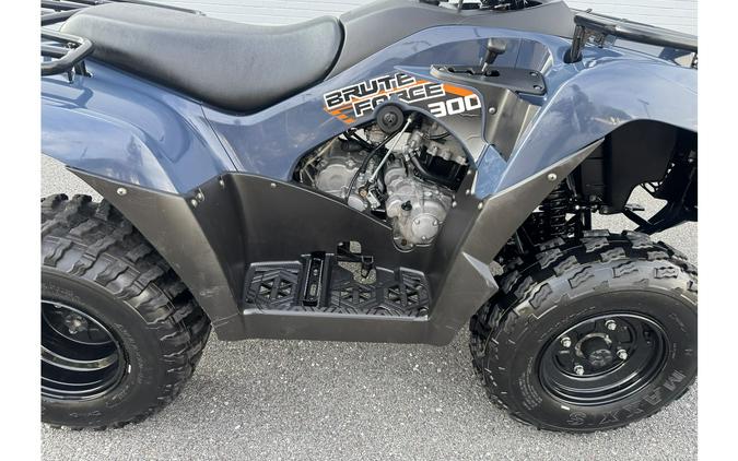2024 BRUTE FORCE 300 - Kawasaki