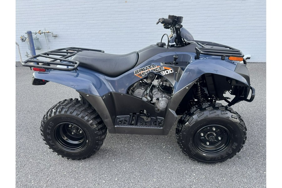 2024 BRUTE FORCE 300 - Kawasaki