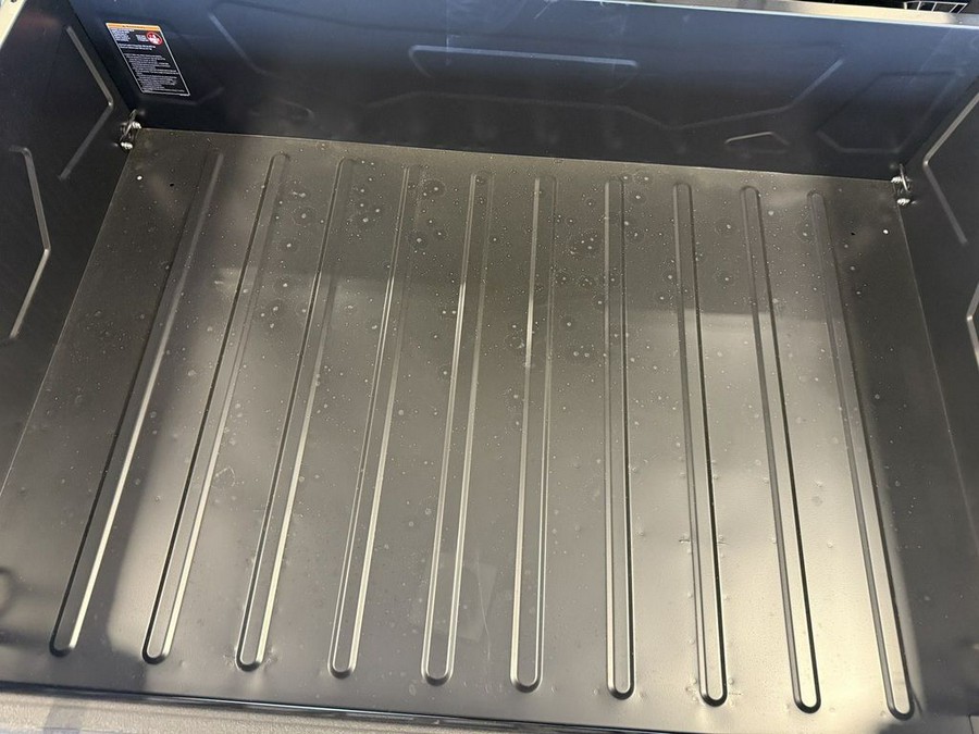 2025 Yamaha Viking EPS