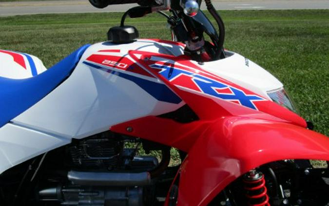 2026 Honda TRX250X