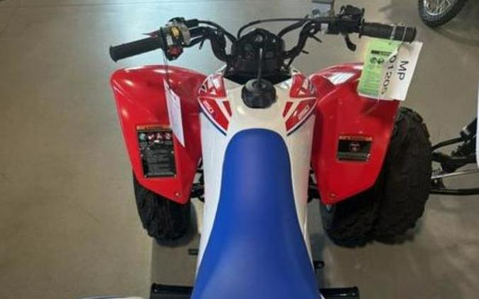 2026 Honda TRX® 250X