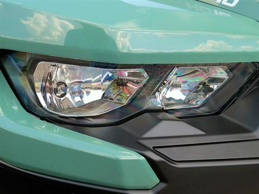 2025 Can-Am Defender DPS HD10