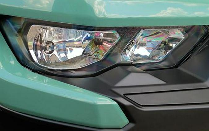 2025 Can-Am Defender DPS HD10