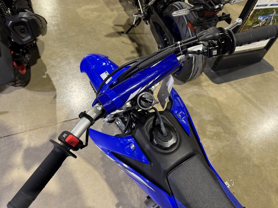 2026 Yamaha TT-R110E