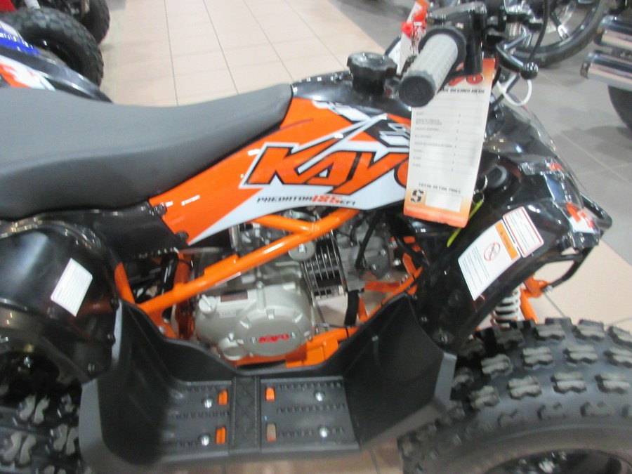2026 KAYO PREDATOR 125