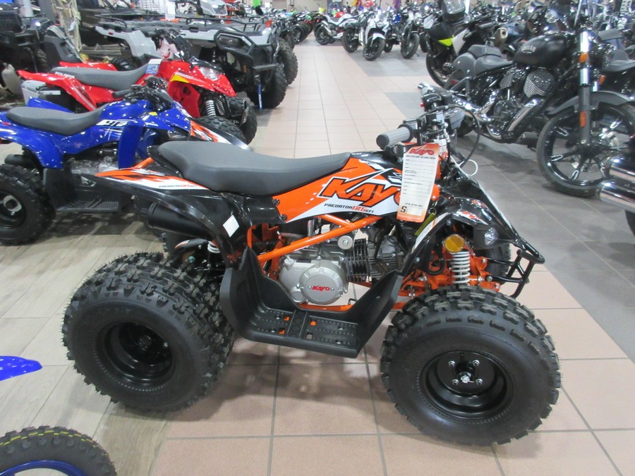 2026 KAYO PREDATOR 125