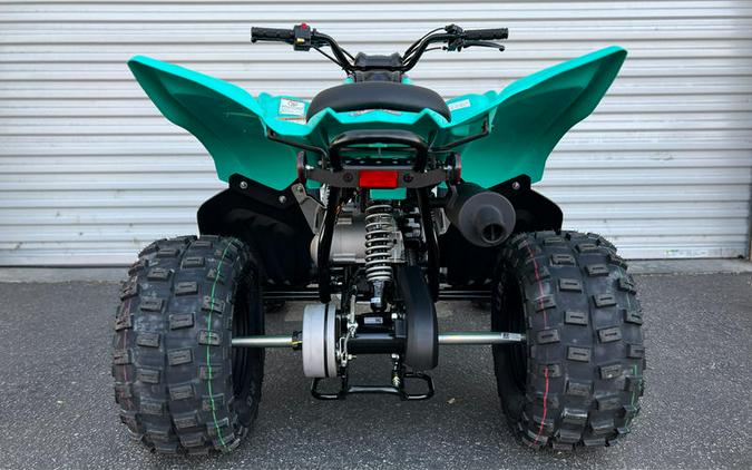 2024 Yamaha Raptor 110