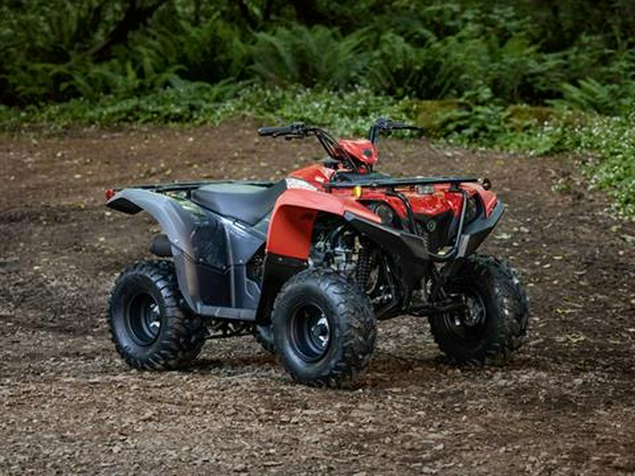 2025 Yamaha Grizzly 110