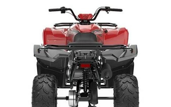 2025 Yamaha Grizzly 110