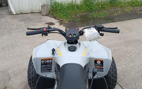 2024 Can-Am™ Renegade 110 EFI