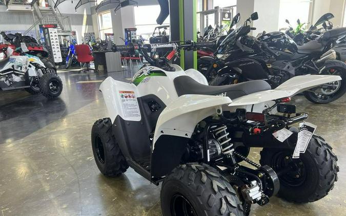 2026 Kawasaki KFX®50