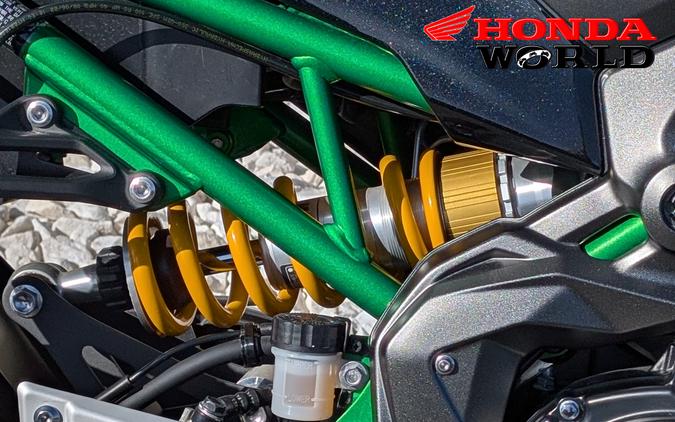 2024 Kawasaki Z900 SE