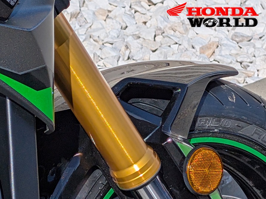 2024 Kawasaki Z900 SE