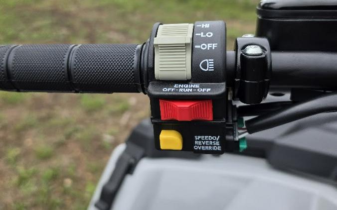 2026 SPORTSMAN 450 H.O. EPS - Polaris