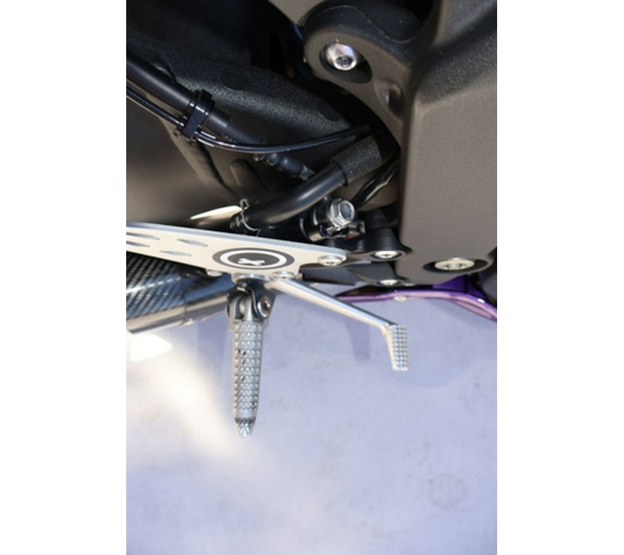 2025 Kawasaki Ninja ZX-6R