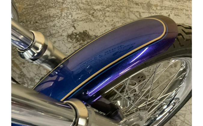 2009 Harley-Davidson® XL1200C CUSTOM