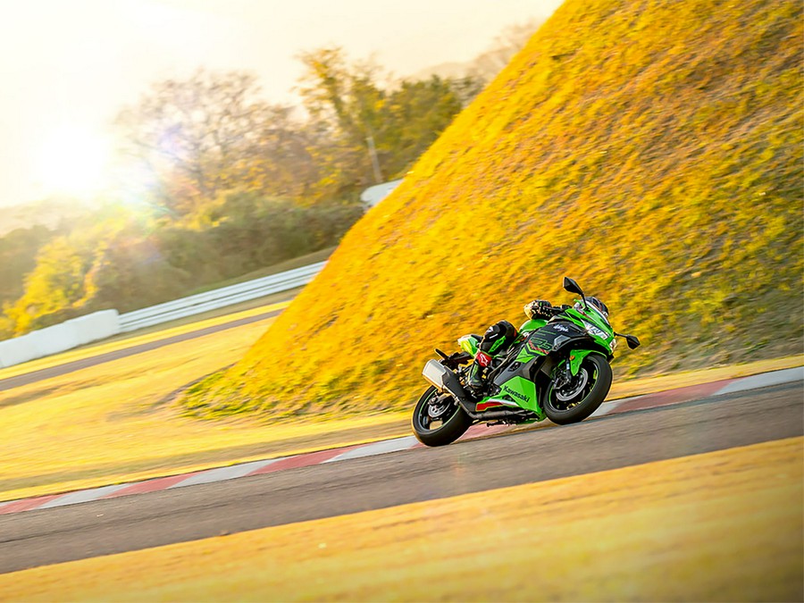 2024 Kawasaki Ninja ZX-4RR 40th anniversary edition