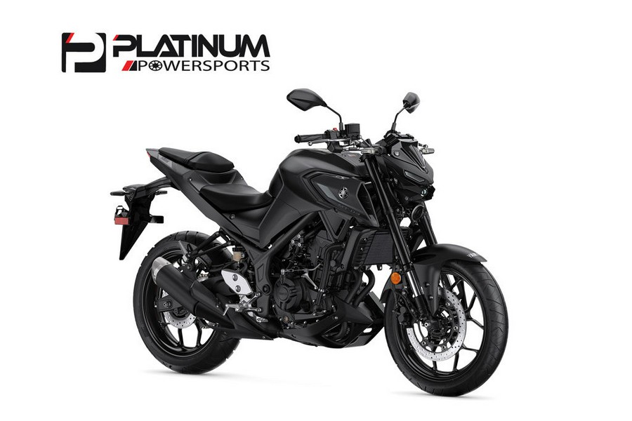 2023 Yamaha MT-03