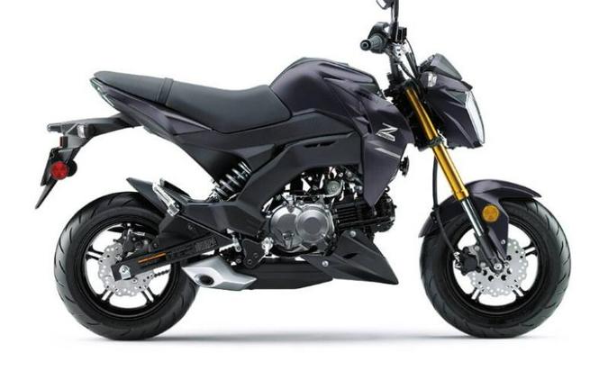 2020 Kawasaki Z125 PRO