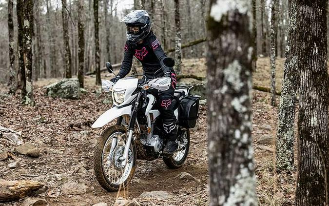 2024 Honda XR 150L 150L