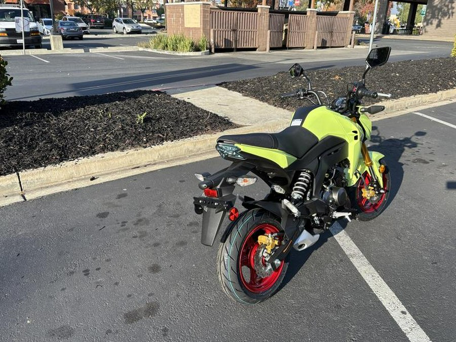 2026 Kawasaki Z125 PRO