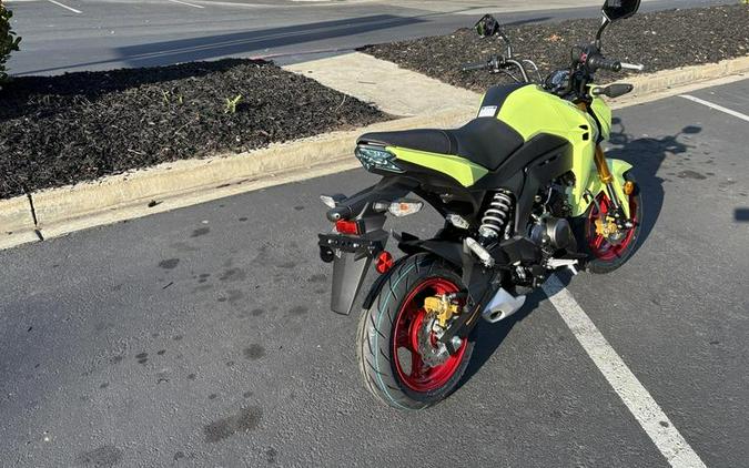 2026 Kawasaki Z125 PRO