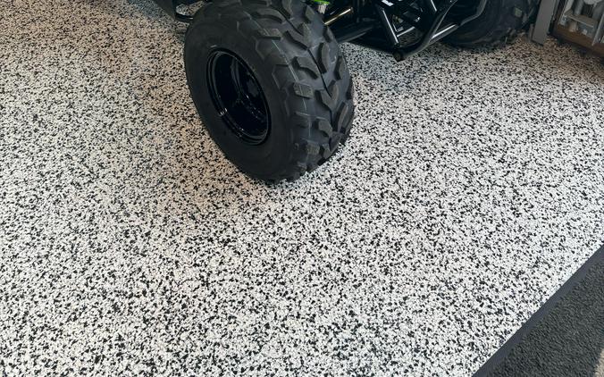 2026 Kawasaki KFX® 50