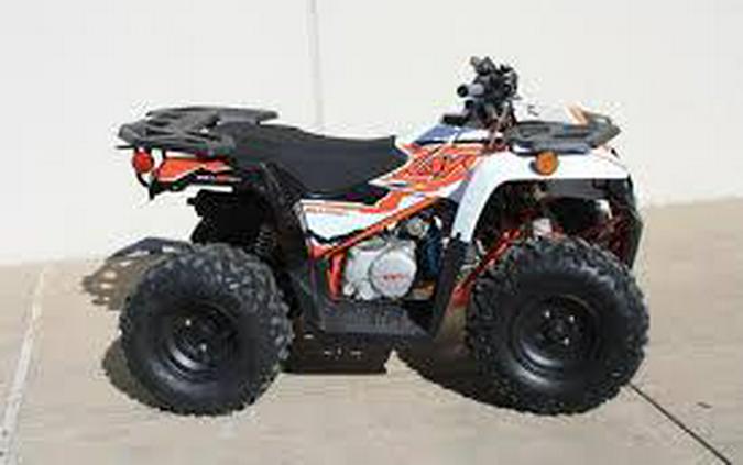 2026 KAYO BULL 125