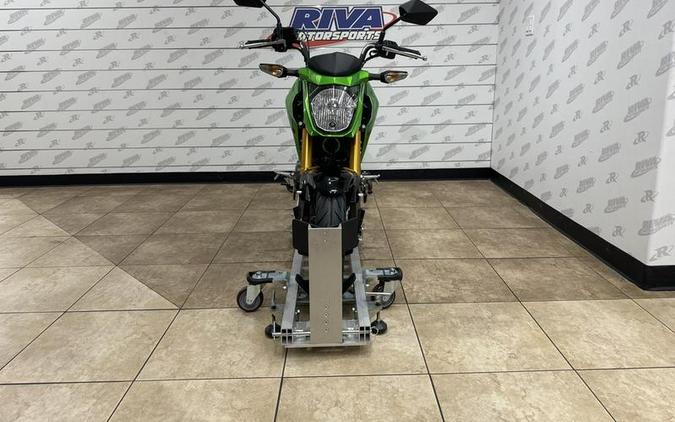 2024 Kawasaki Z125 PRO