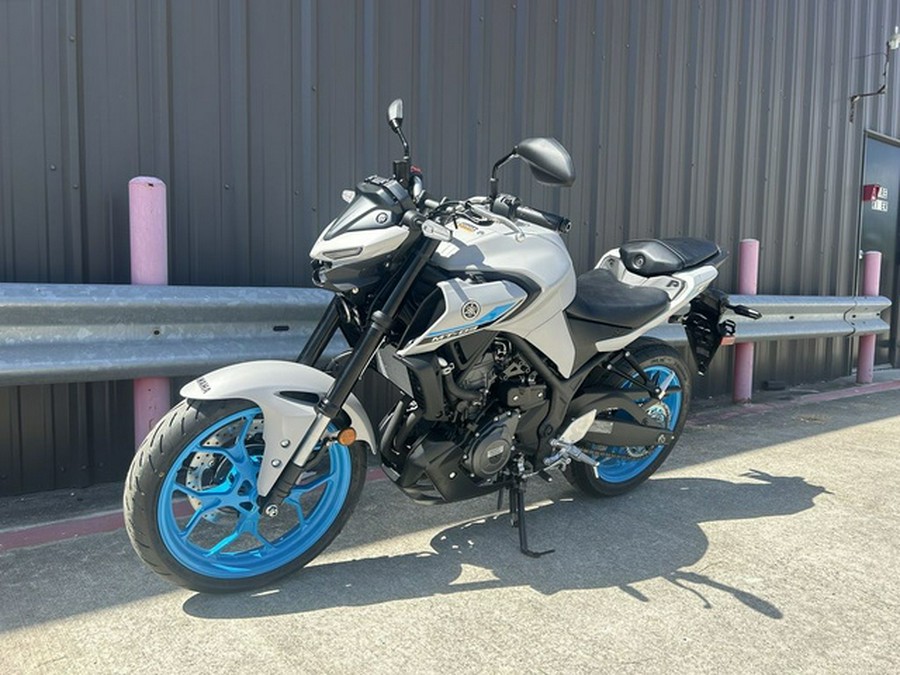 2025 Yamaha MT 03