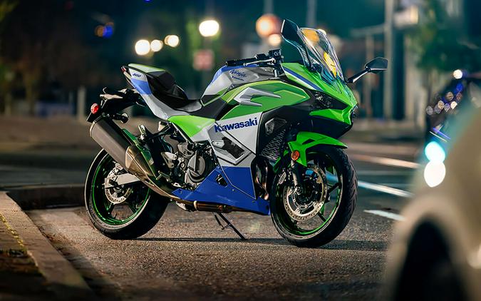 2024 Kawasaki Ninja 500 SE 40th Anniversary Edition ABS