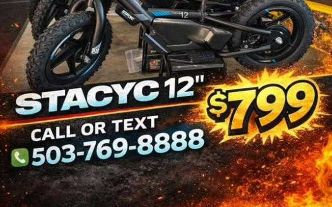 2025 Stacyc 12eDrive