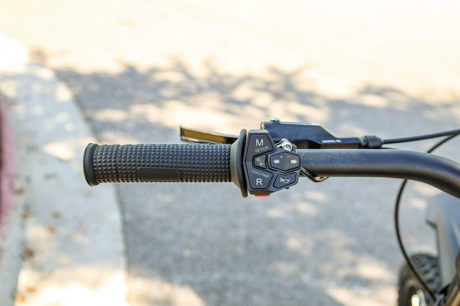 2025 79 BIKE FALCON PRO
