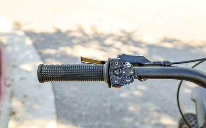 2025 79 BIKE FALCON PRO