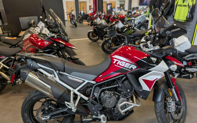 2024 Triumph TIGER 900 GT ARAGON EDITION