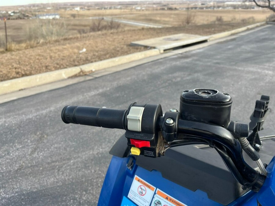 2013 Polaris Sportsman® 400 HO